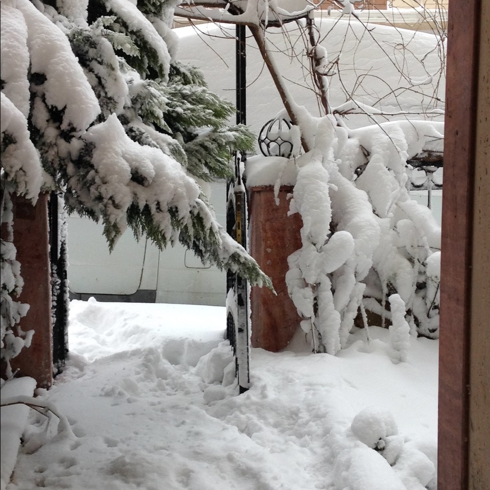 Meet your Posher, Lizz